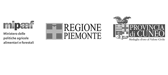 Regione piemonte